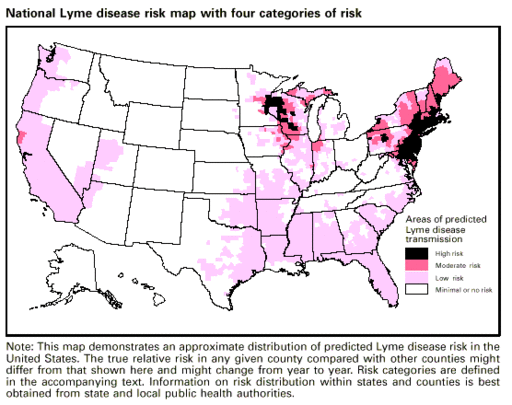 Pathogeny Of Borrelia Burgdorferi - Microbewiki