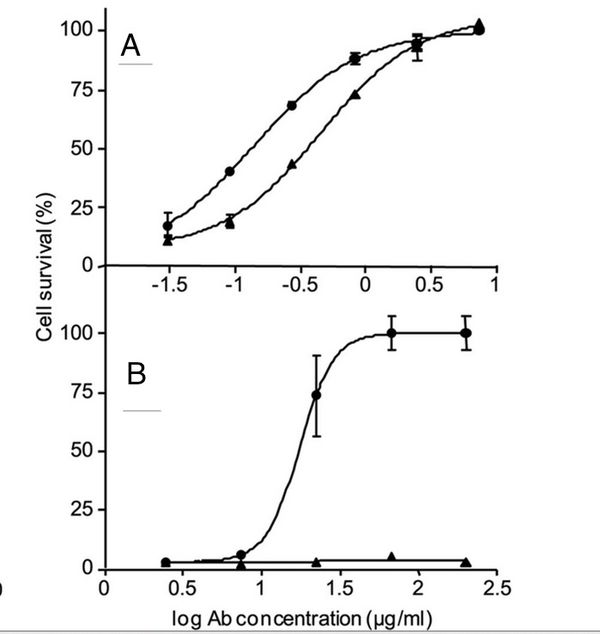 Bacillus Anthracis Anthrax Lethal Toxin Microbewiki 9103