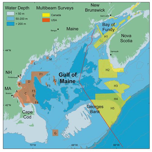 Evolution in the Gulf of Maine - microbewiki