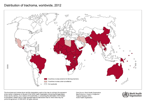 Ocular Infection by Chlamydia trachomatis: Public Health Responses to ...