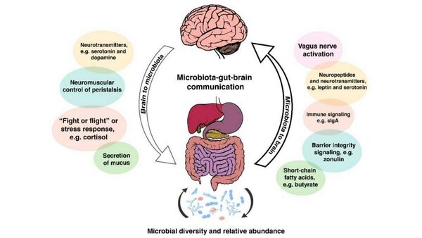 The Gut Microbiome & Parkinson's Disease - Microbewiki