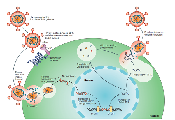 HIV Drug Resistance - microbewiki