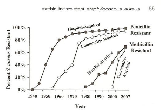 Antibiotic Resistance Within Staphylococcus Aureus Microbewiki 9051