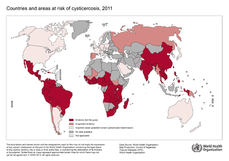 Cysticercosis - microbewiki