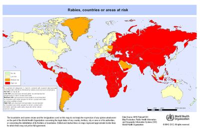 Rabies - microbewiki